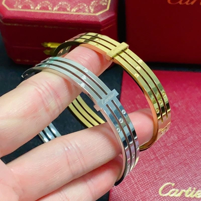 Cartier Bracelets GoodFit 217503