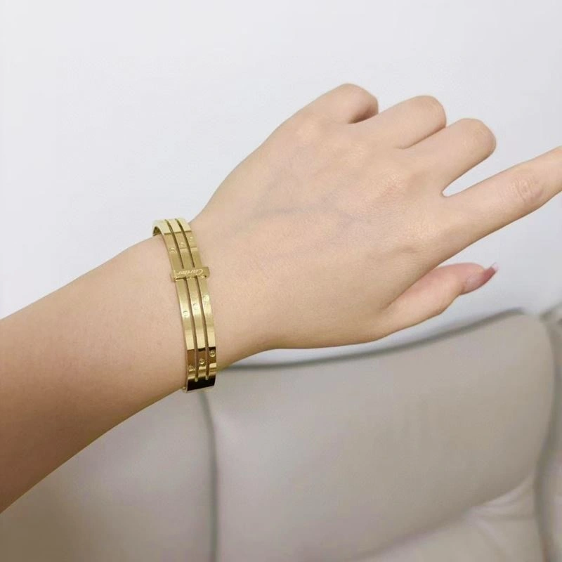 Cartier Bracelets GoodFit 217503