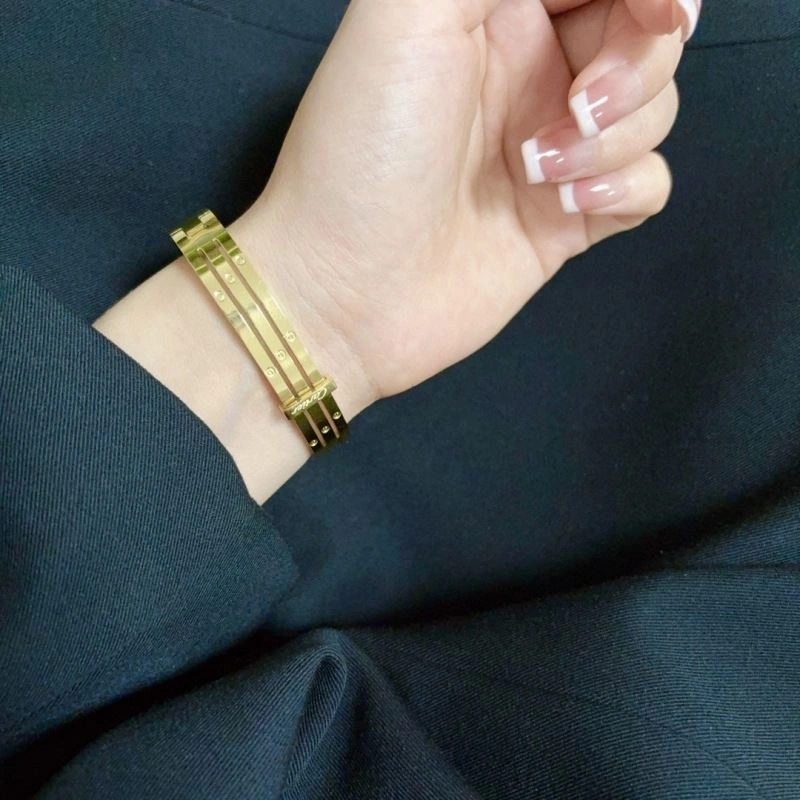 Cartier Bracelets GoodFit 217503