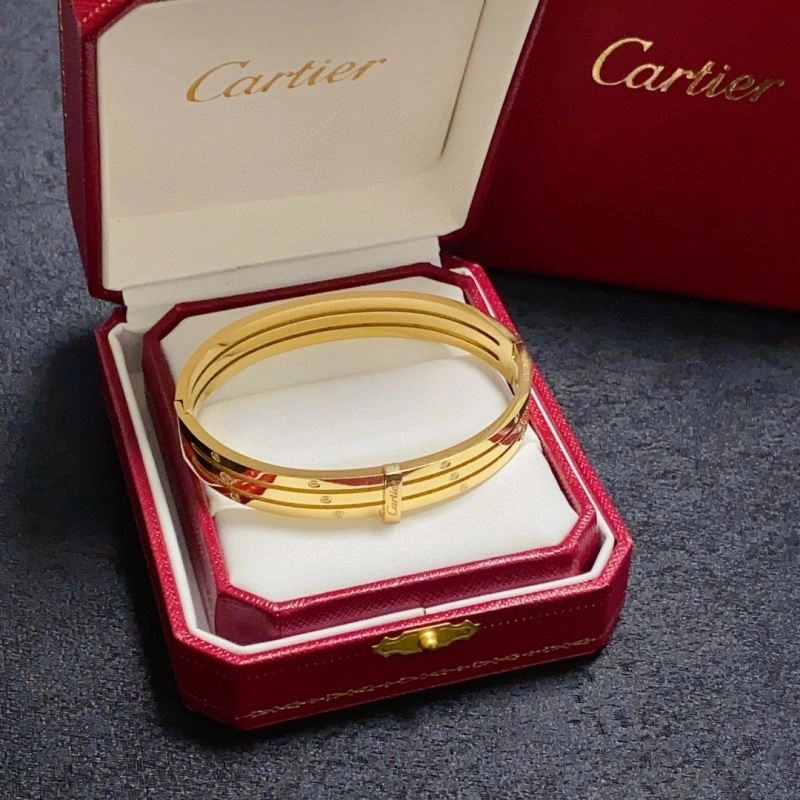 Cartier Bracelets GoodFit 217503