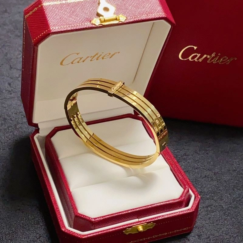 Cartier Bracelets GoodFit 217503