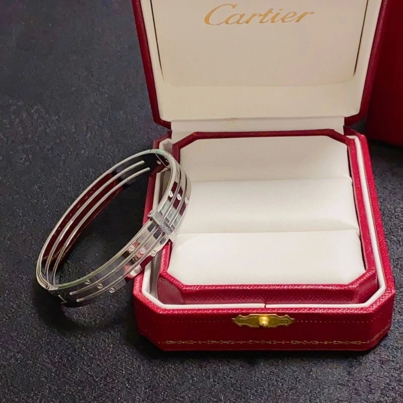 Cartier Bracelets GoodFit 217503