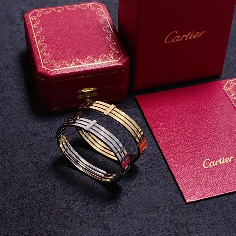 Cartier Bracelets GoodFit 217503