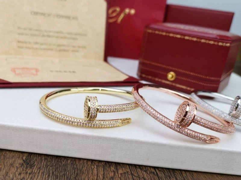 Cartier Bracelets Supportive 217512