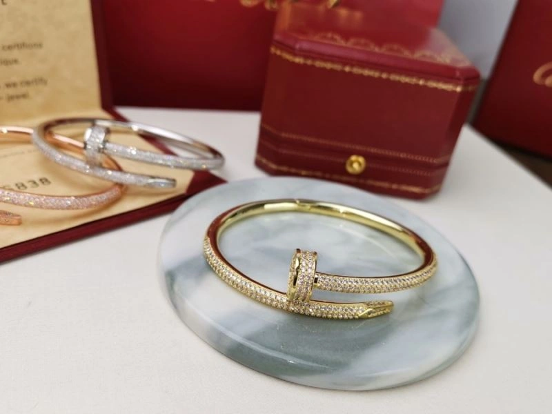 Cartier Bracelets Supportive 217512