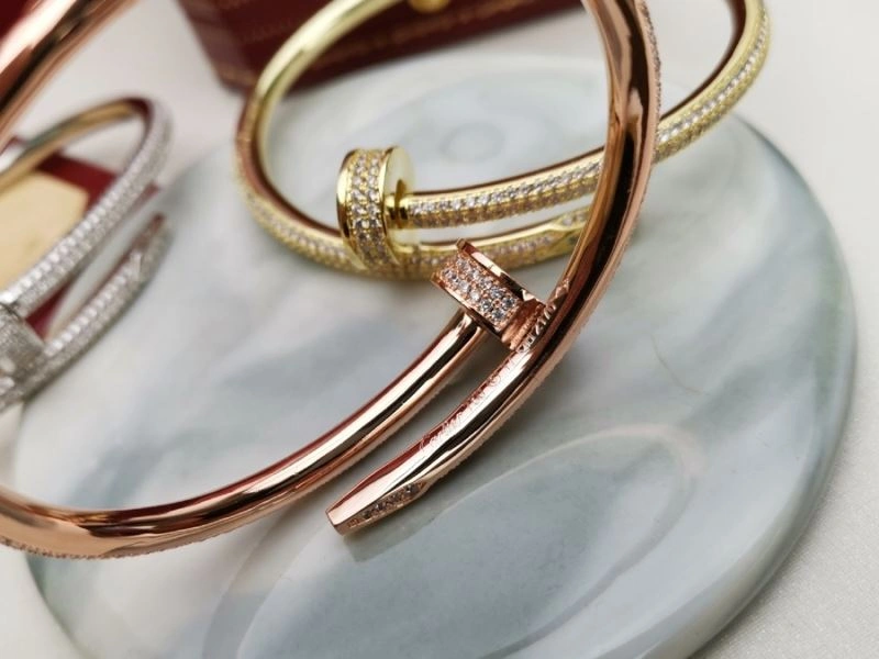 Cartier Bracelets Supportive 217512