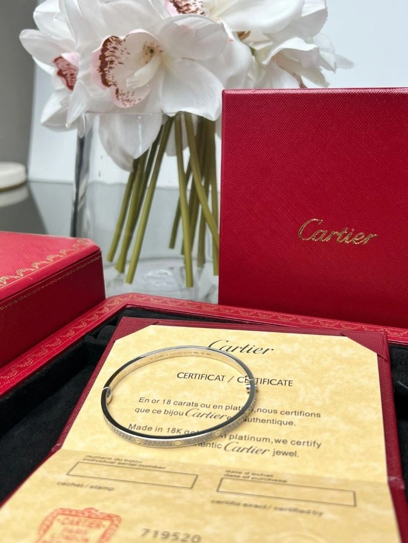 Cartier Bracelets StreetReady 217509