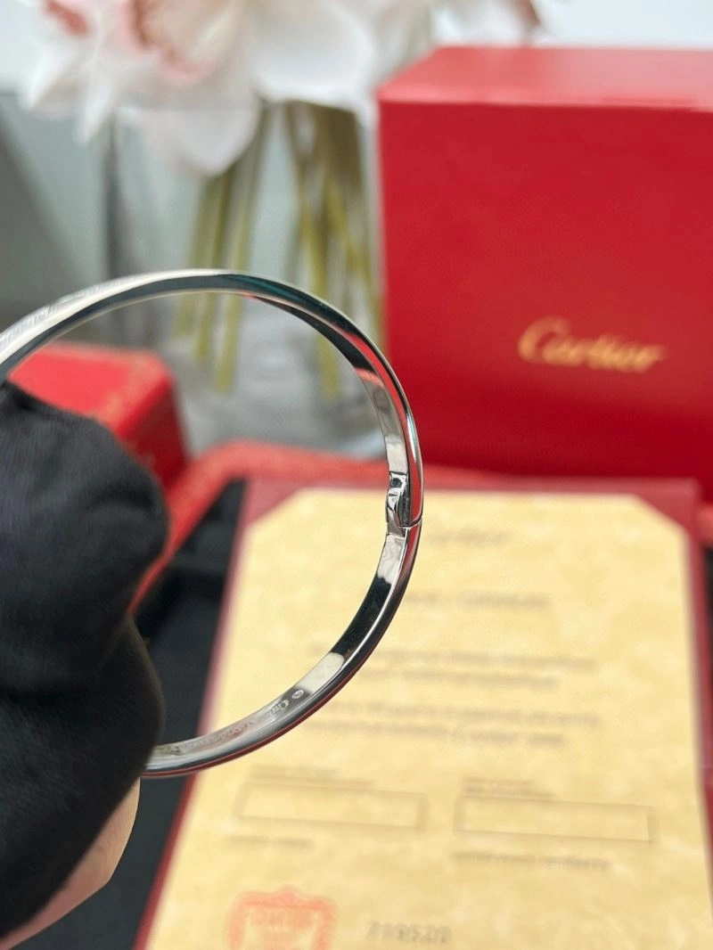 Cartier Bracelets StreetReady 217509