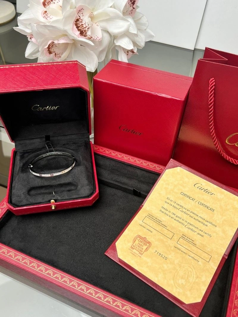 Cartier Bracelets StreetReady 217509