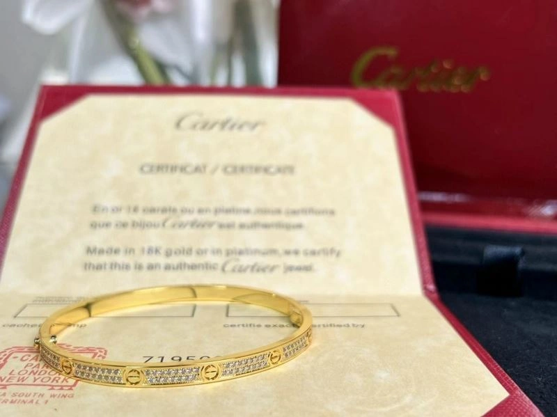 Cartier Bracelets Packable 217506