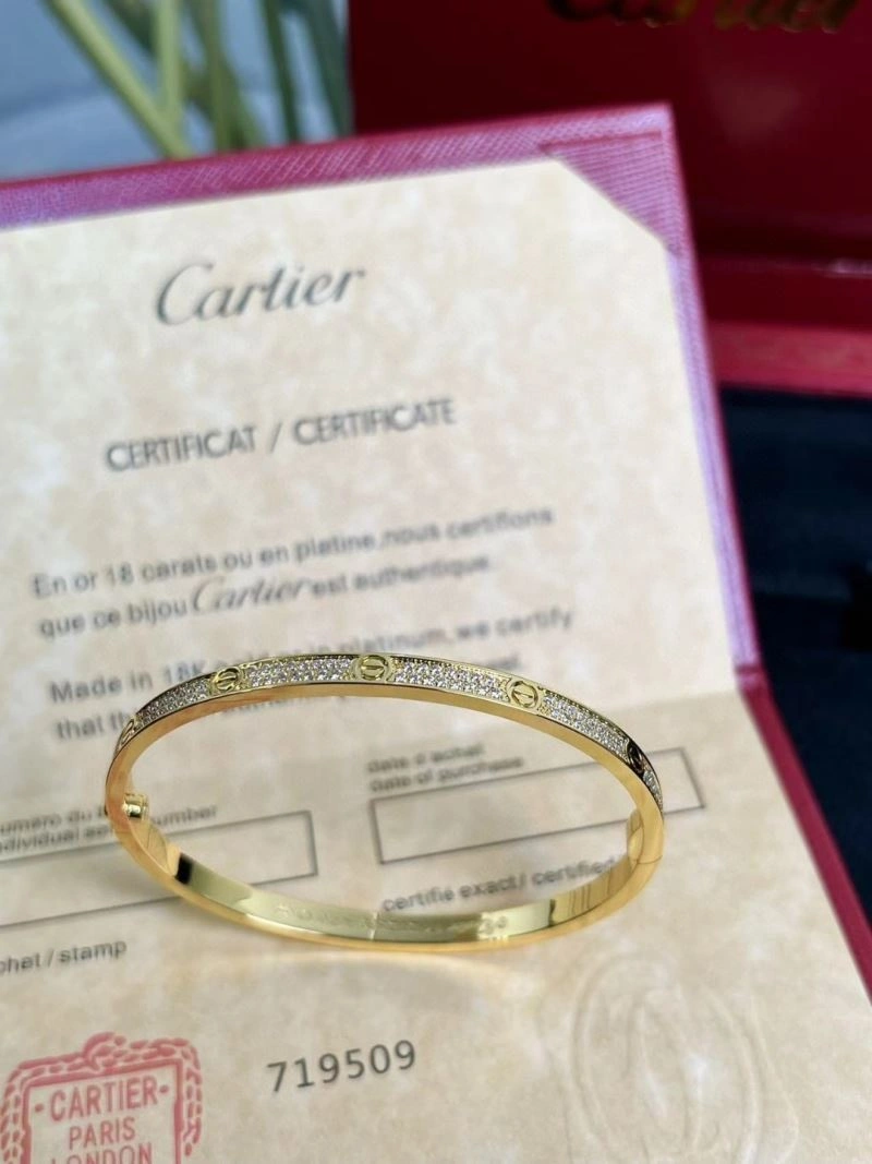 Cartier Bracelets Packable 217506