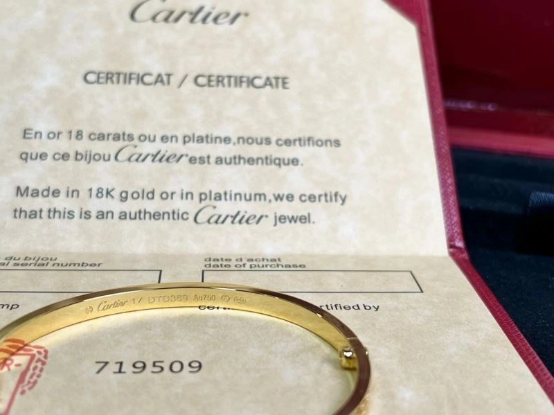 Cartier Bracelets Packable 217506