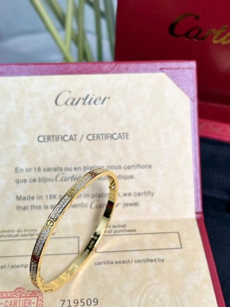 Cartier Bracelets Packable 217506