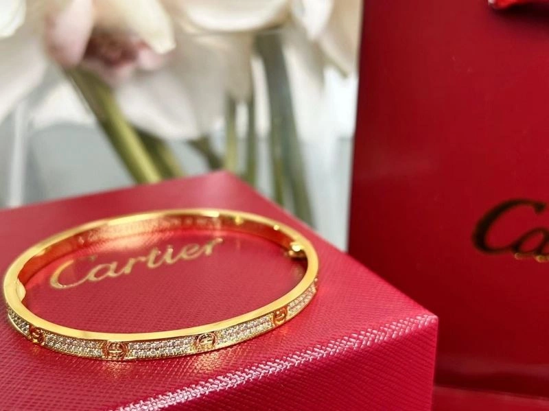 Cartier Bracelets Packable 217506