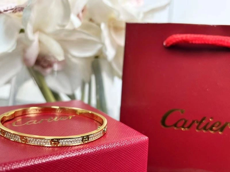 Cartier Bracelets Packable 217506