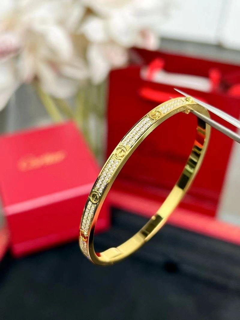 Cartier Bracelets Packable 217506