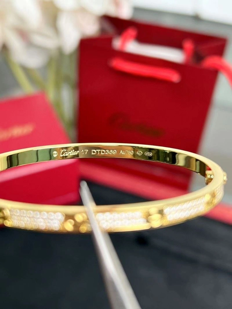 Cartier Bracelets Packable 217506