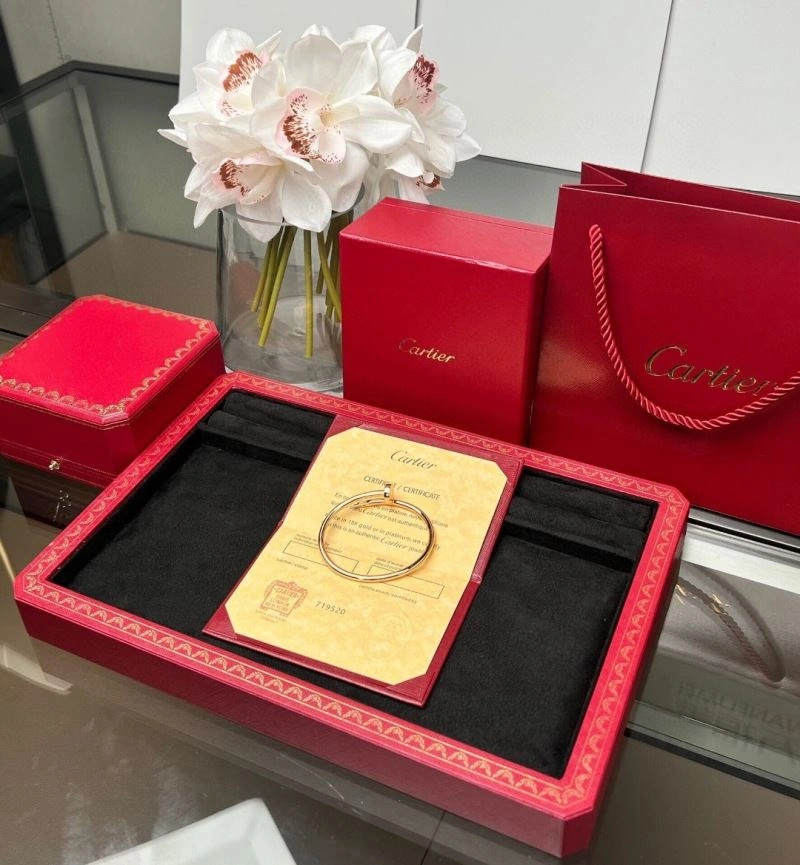 Cartier Bracelets Efficient 217521