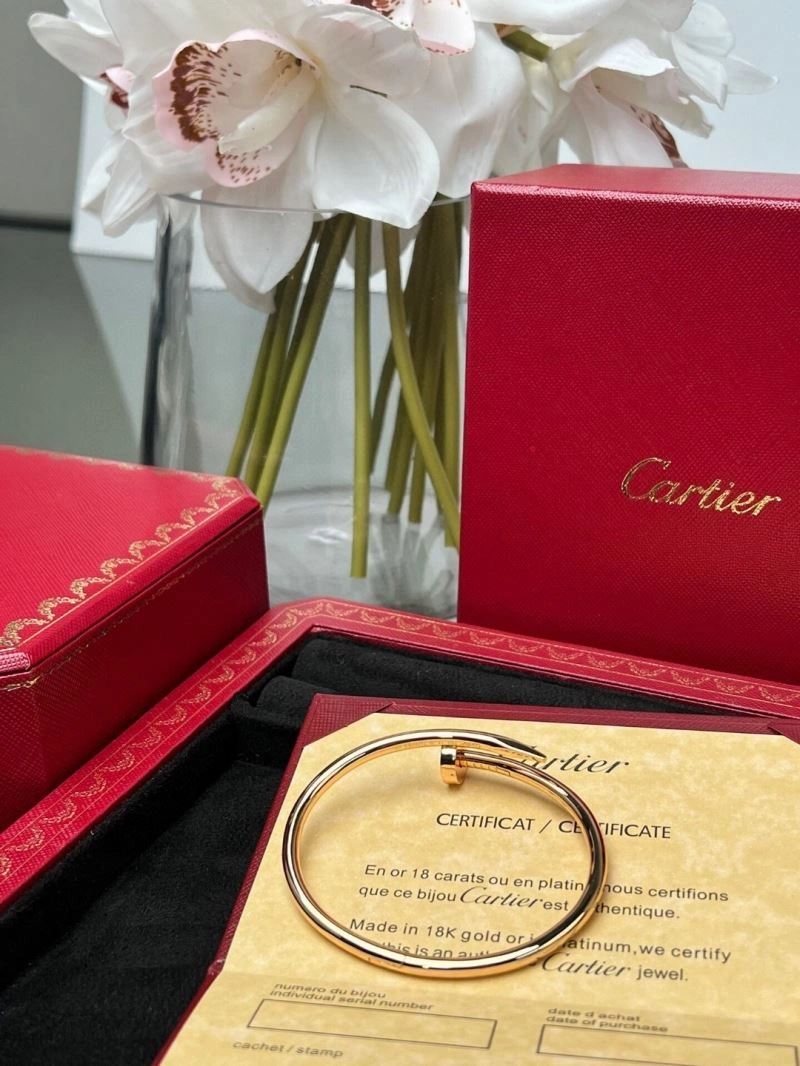 Cartier Bracelets Efficient 217521