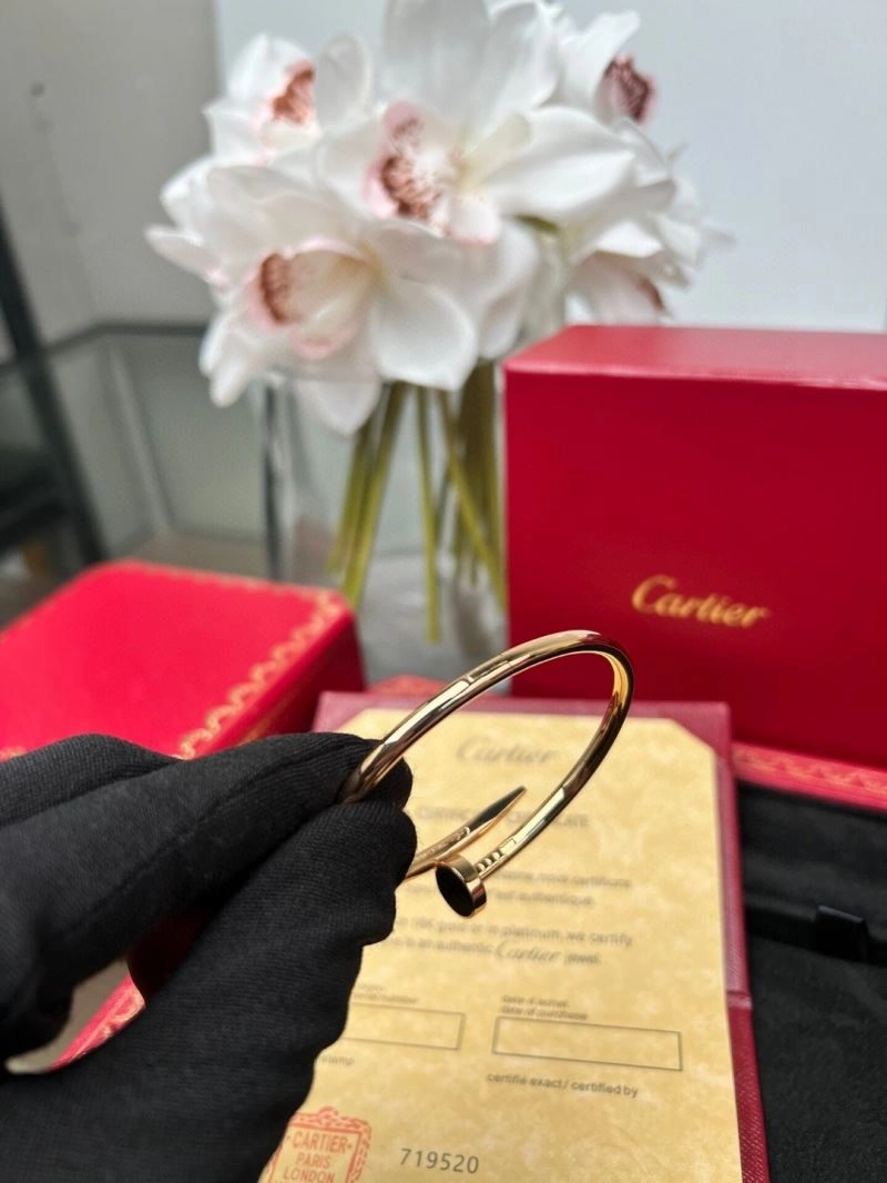 Cartier Bracelets Efficient 217521