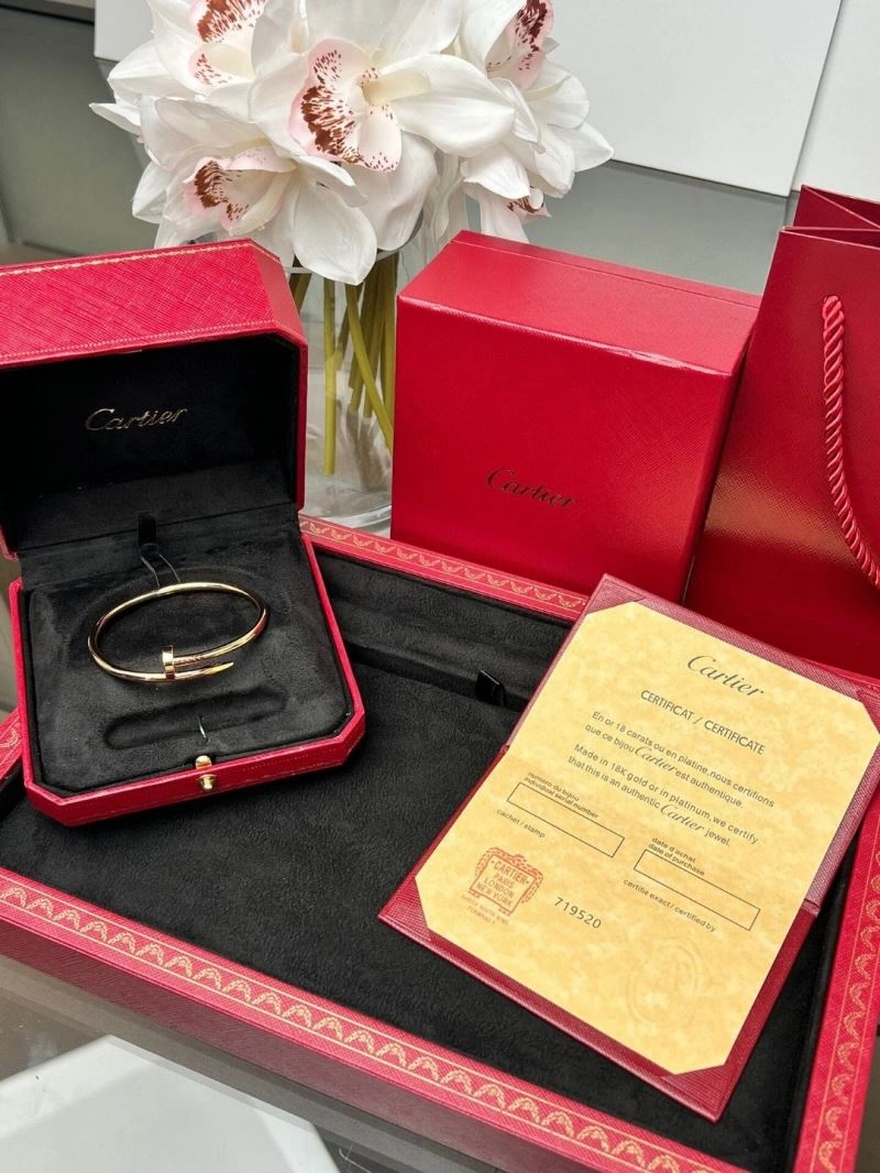 Cartier Bracelets Efficient 217521