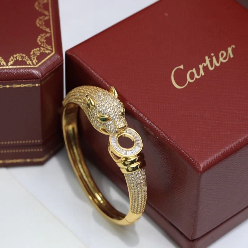Cartier Bracelets DailyWear 217445