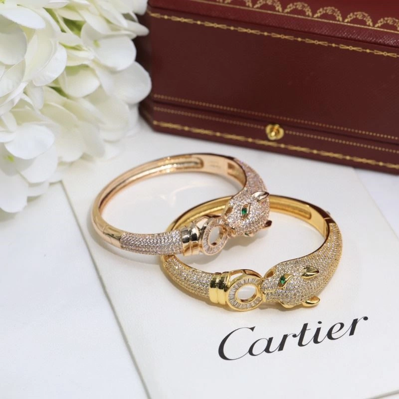 Cartier Bracelets DailyWear 217445