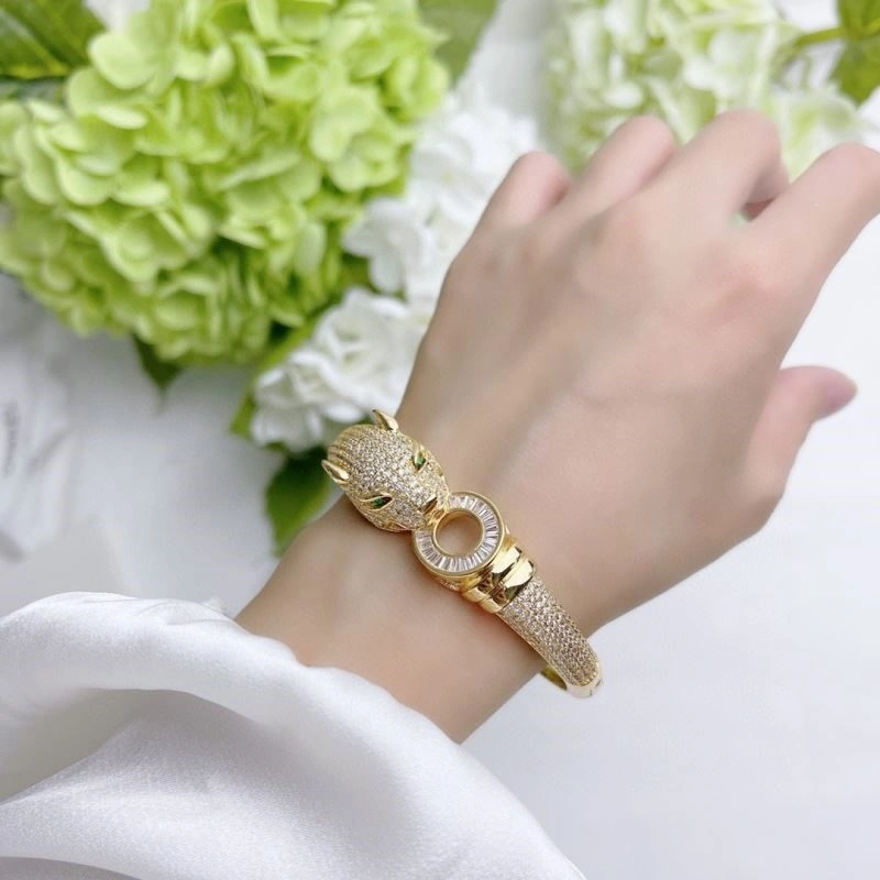 Cartier Bracelets DailyWear 217445