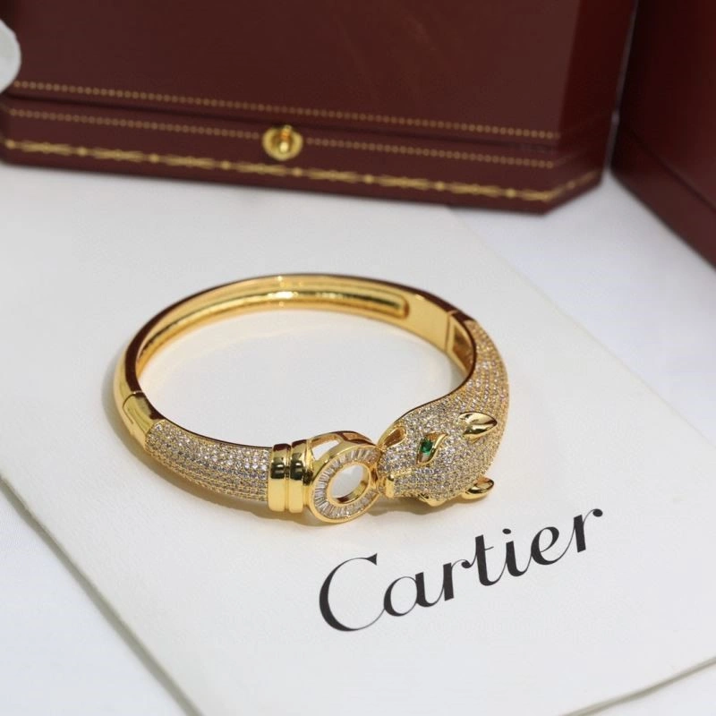 Cartier Bracelets DailyWear 217445