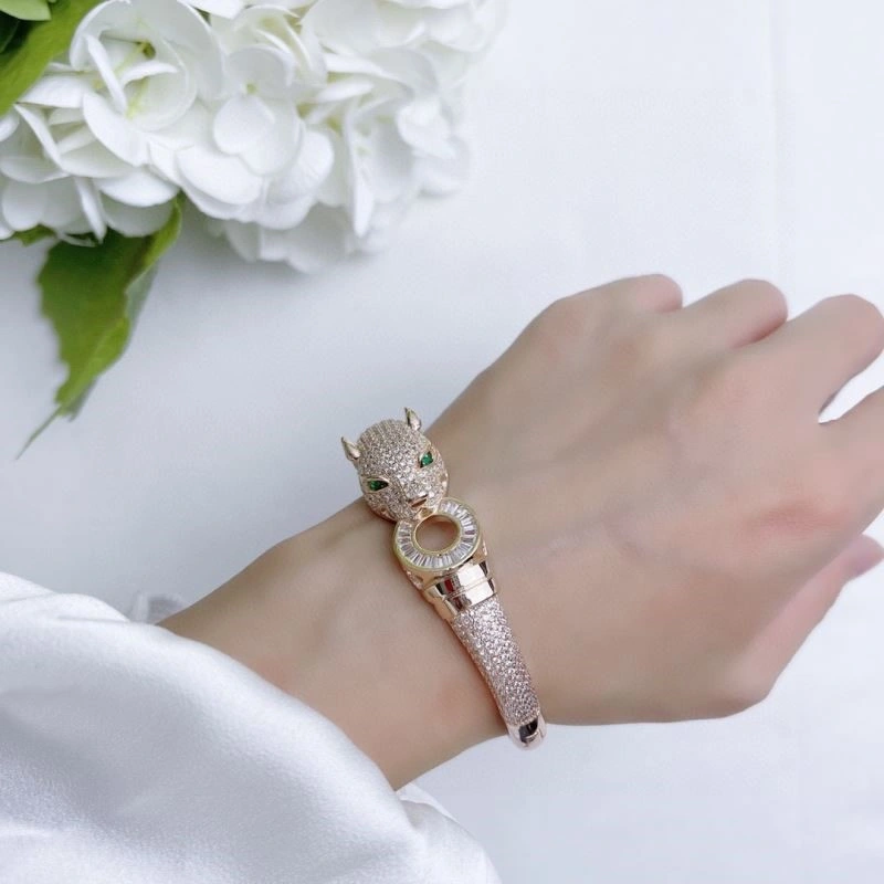 Cartier Bracelets DailyWear 217445