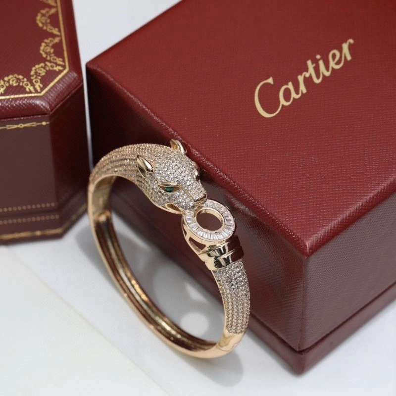 Cartier Bracelets DailyWear 217445
