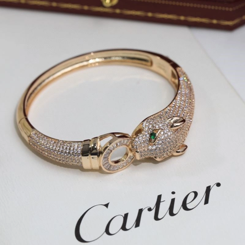 Cartier Bracelets DailyWear 217445
