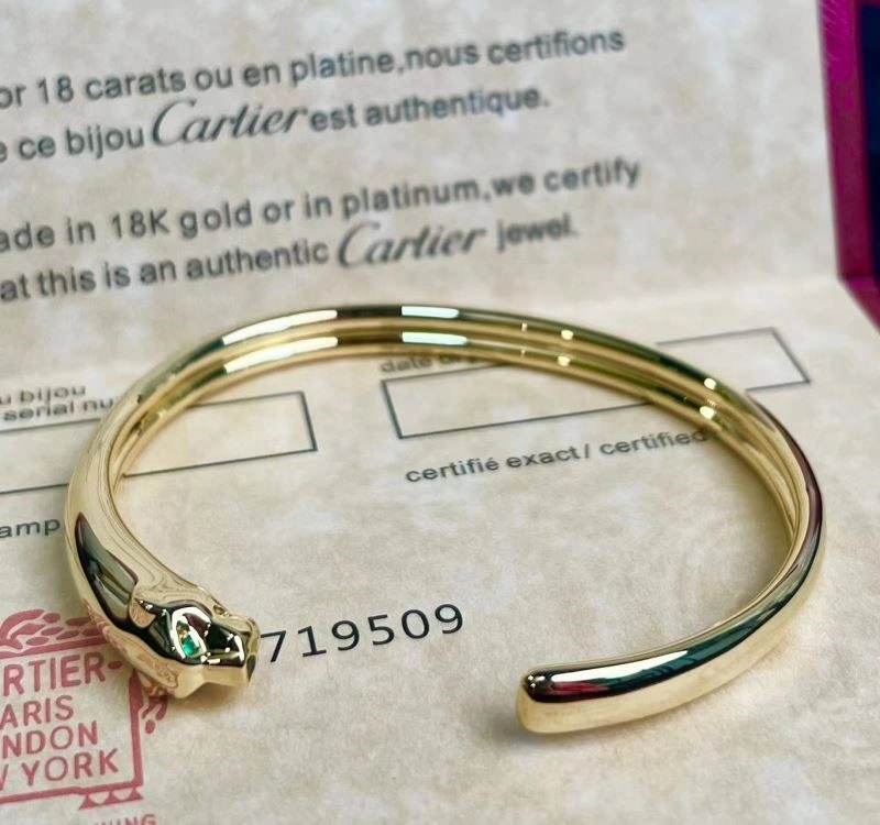 Functional Cartier Bracelets 217443