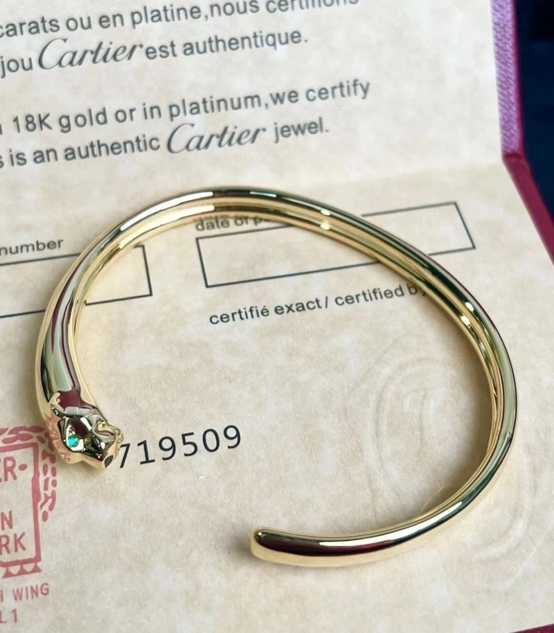 Functional Cartier Bracelets 217443
