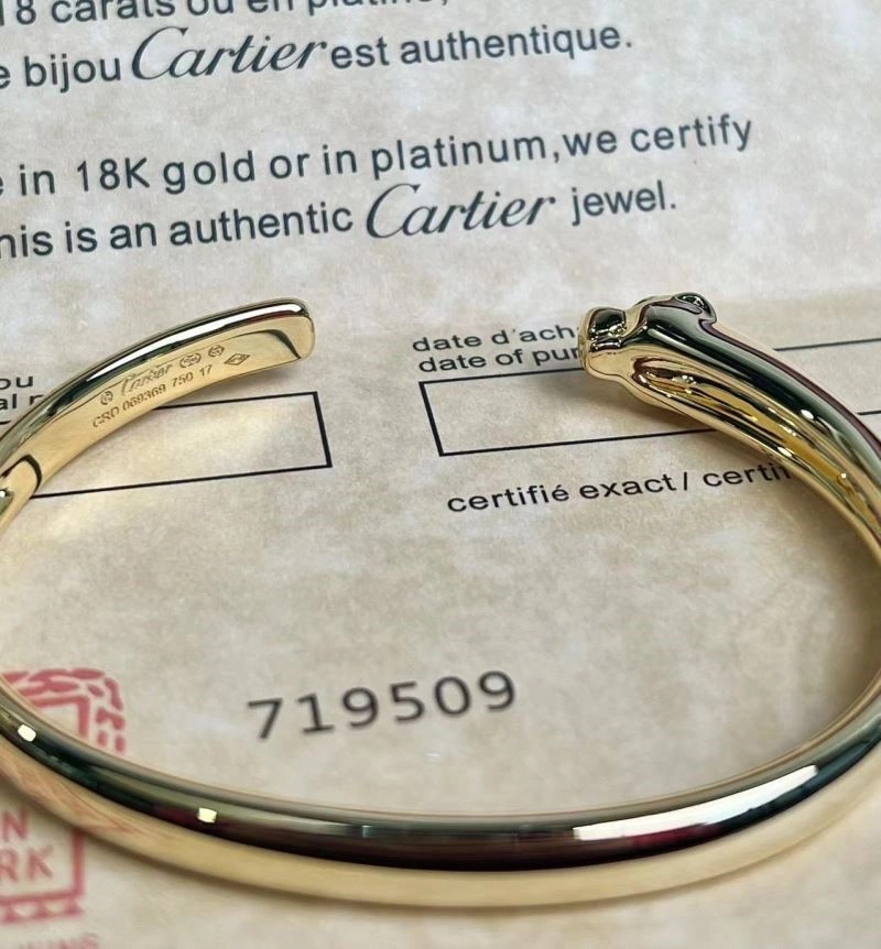 Functional Cartier Bracelets 217443
