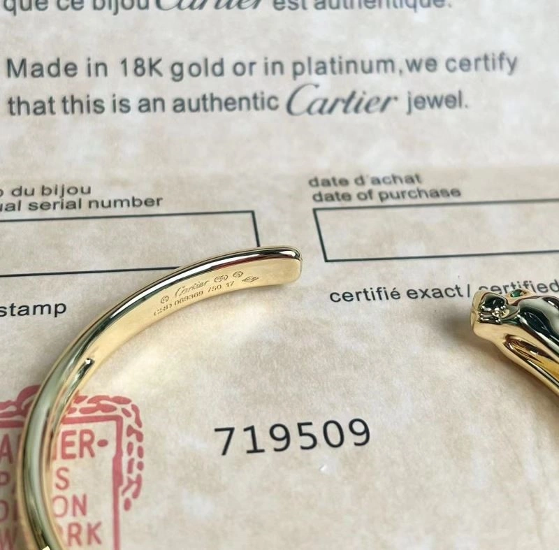 Functional Cartier Bracelets 217443