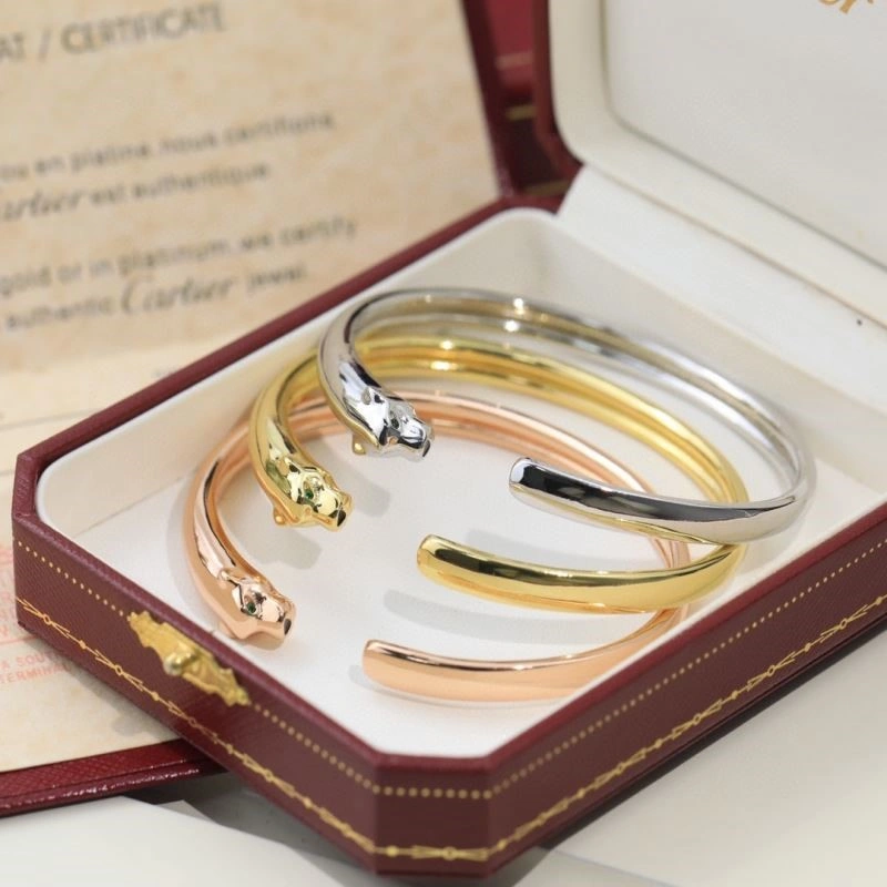 Cartier Bracelets Youthful 217381