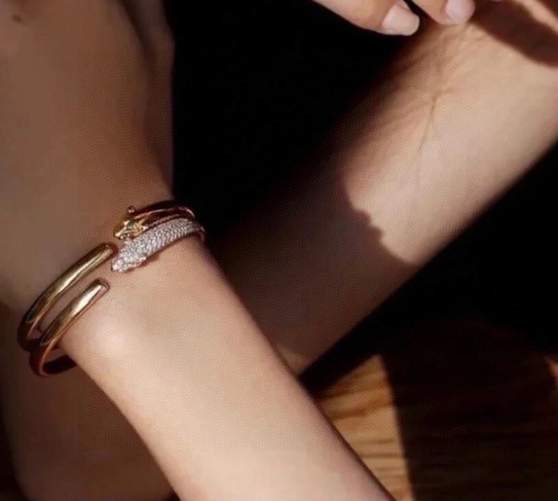 Cartier Bracelets Youthful 217381