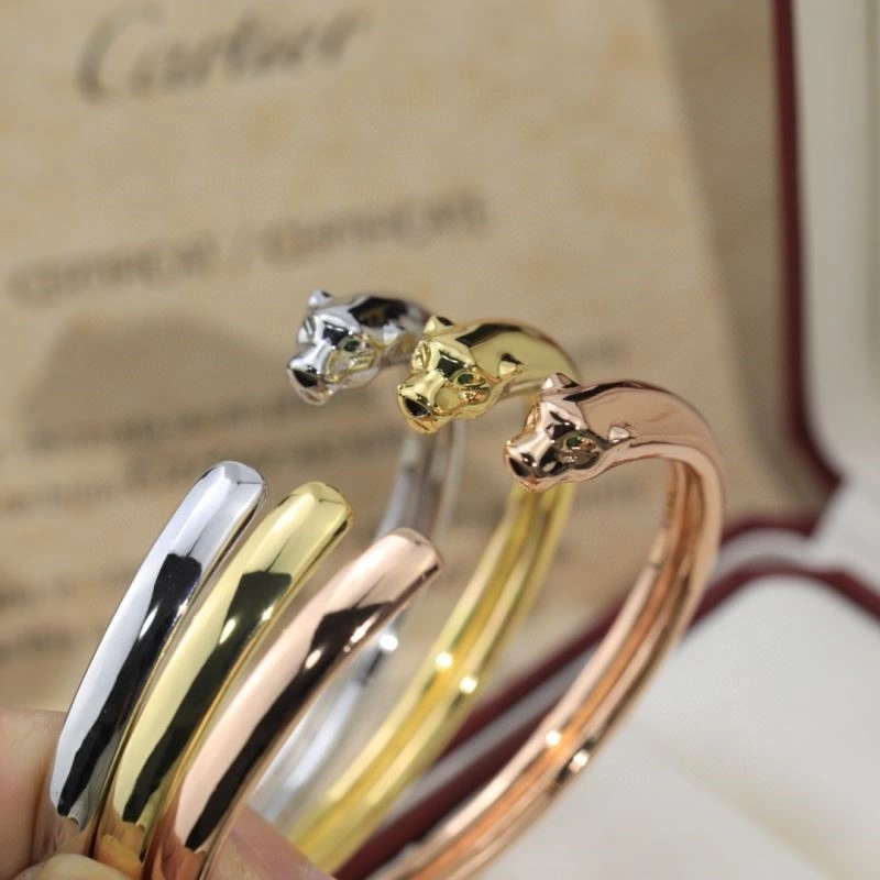 Cartier Bracelets Youthful 217381