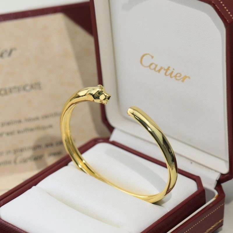 Cartier Bracelets Youthful 217381