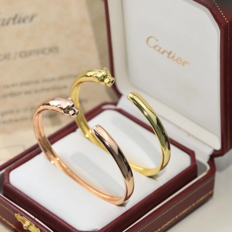 Cartier Bracelets Youthful 217381