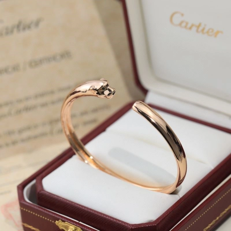 Cartier Bracelets Youthful 217381