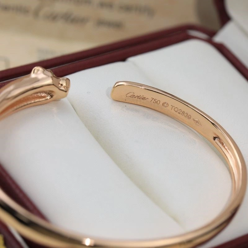 Cartier Bracelets Youthful 217381