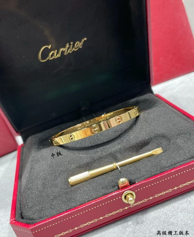 Cartier Bracelets SmartChoice 217378