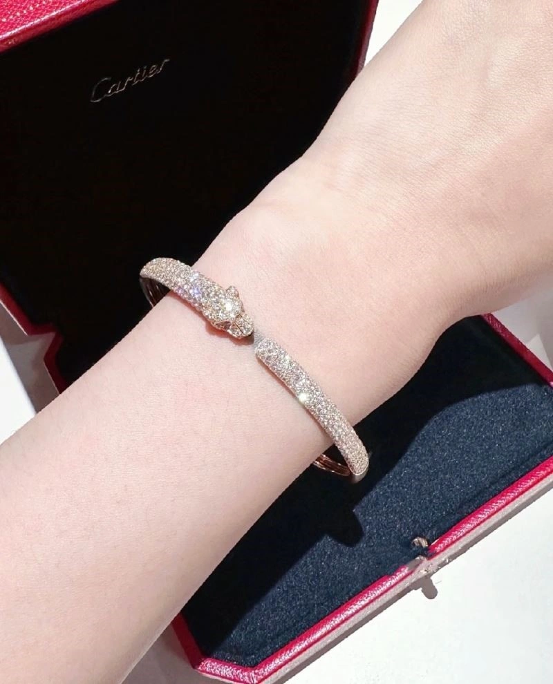 Cartier Bracelets BestValue 217369