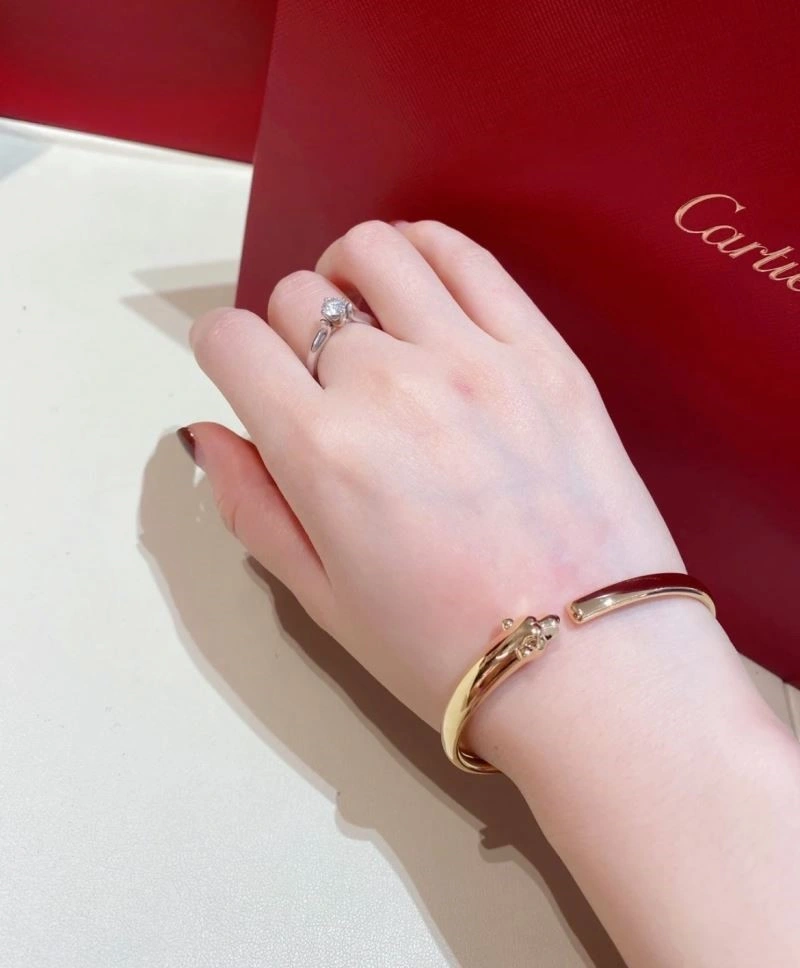 Cartier Bracelets Practical 217373