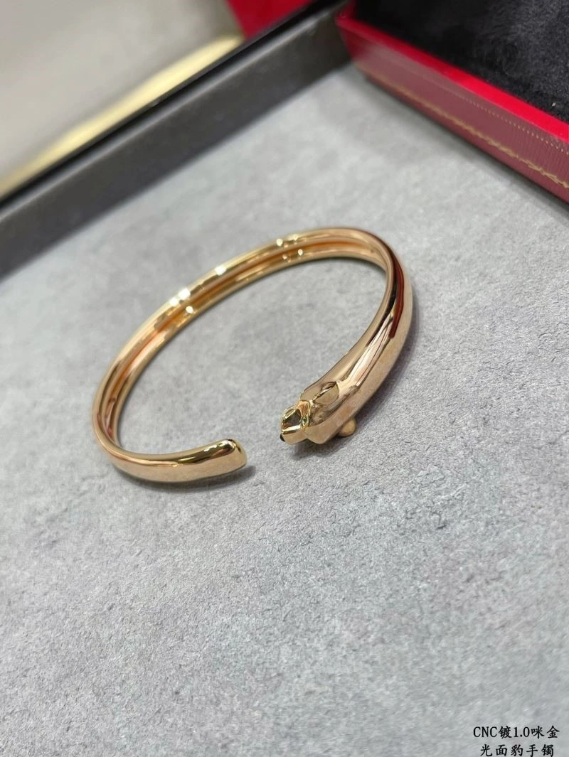 Cartier Bracelets Practical 217373