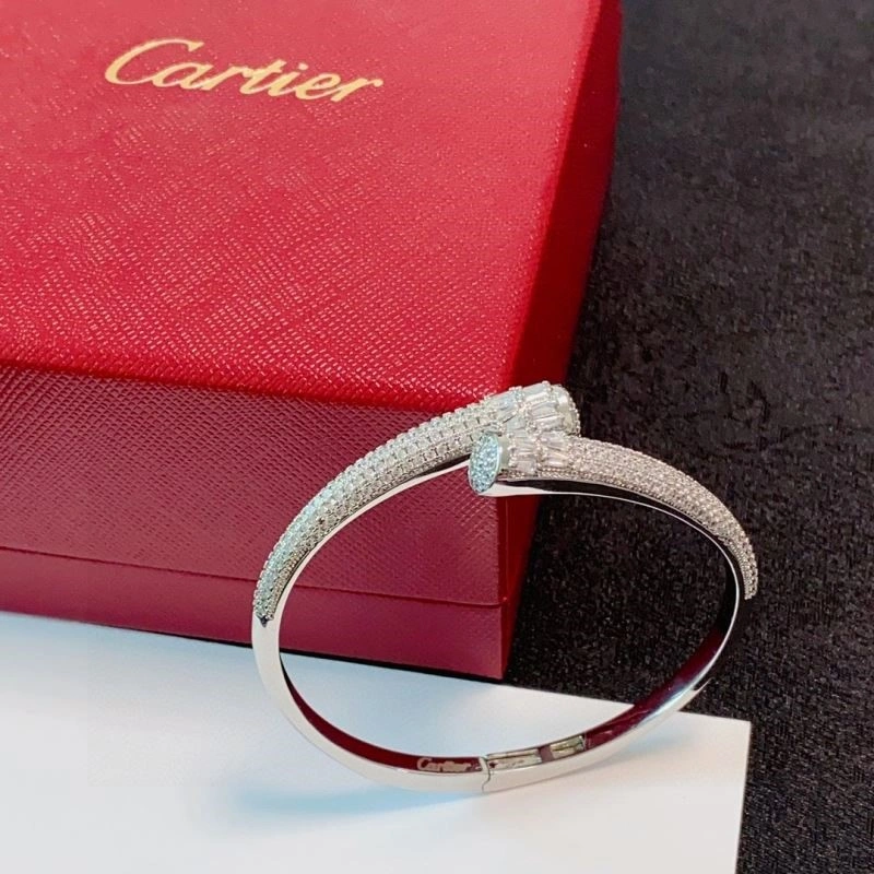 Cartier Bracelets WeatherProof 217211