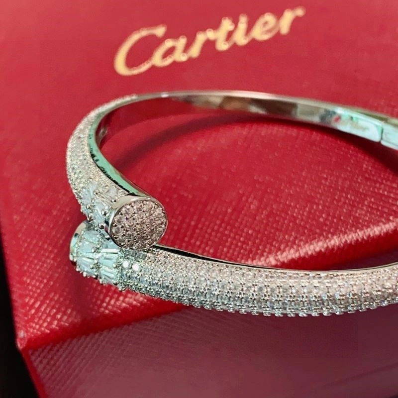 Cartier Bracelets WeatherProof 217211