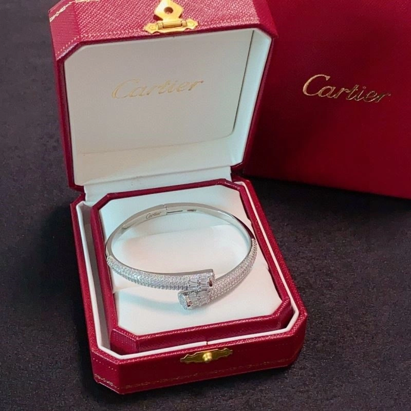 Cartier Bracelets WeatherProof 217211